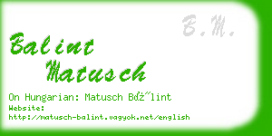 balint matusch business card